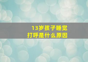 13岁孩子睡觉打呼是什么原因