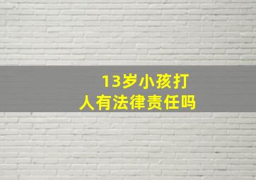 13岁小孩打人有法律责任吗