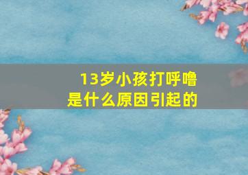 13岁小孩打呼噜是什么原因引起的