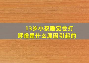 13岁小孩睡觉会打呼噜是什么原因引起的