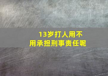 13岁打人用不用承担刑事责任呢