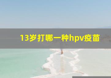 13岁打哪一种hpv疫苗