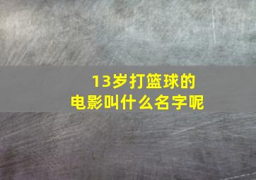 13岁打篮球的电影叫什么名字呢