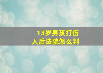 13岁男孩打伤人后法院怎么判