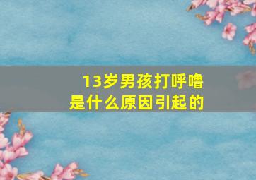 13岁男孩打呼噜是什么原因引起的