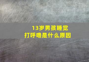 13岁男孩睡觉打呼噜是什么原因