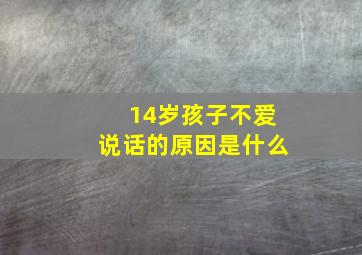 14岁孩子不爱说话的原因是什么