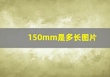 150mm是多长图片