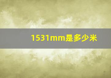 1531mm是多少米