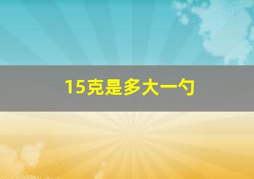 15克是多大一勺