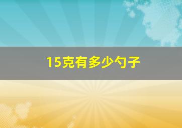 15克有多少勺子