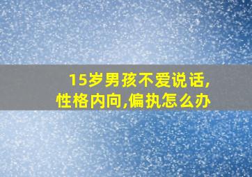 15岁男孩不爱说话,性格内向,偏执怎么办