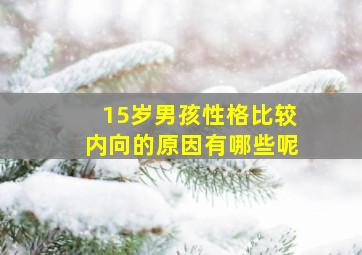 15岁男孩性格比较内向的原因有哪些呢