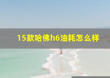 15款哈佛h6油耗怎么样