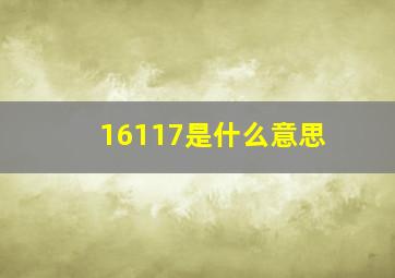 16117是什么意思