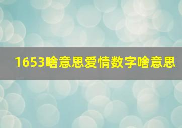 1653啥意思爱情数字啥意思