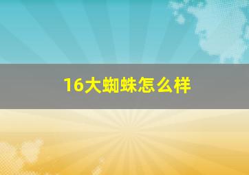 16大蜘蛛怎么样