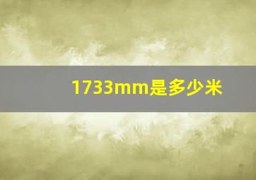 1733mm是多少米