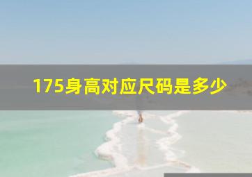 175身高对应尺码是多少