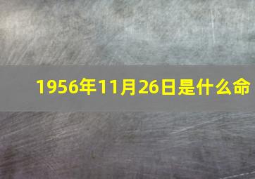 1956年11月26日是什么命