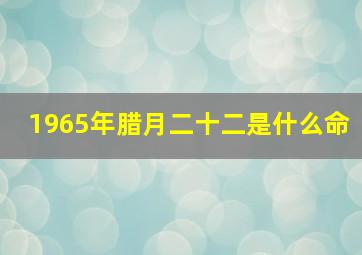 1965年腊月二十二是什么命