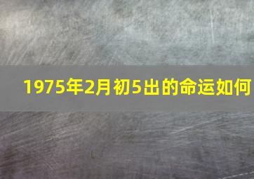 1975年2月初5出的命运如何