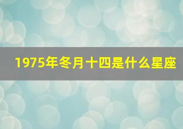 1975年冬月十四是什么星座