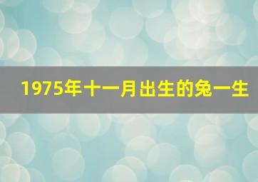 1975年十一月出生的兔一生