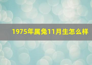 1975年属兔11月生怎么样