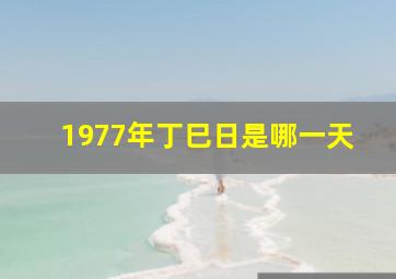 1977年丁巳日是哪一天