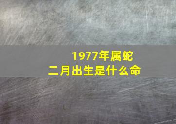 1977年属蛇二月出生是什么命