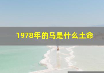 1978年的马是什么土命