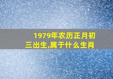 1979年农历正月初三出生,属于什么生肖