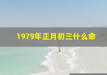 1979年正月初三什么命