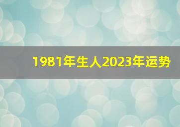 1981年生人2023年运势