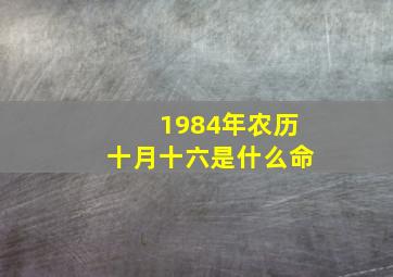 1984年农历十月十六是什么命