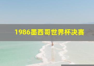 1986墨西哥世界杯决赛