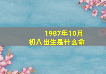 1987年10月初八出生是什么命