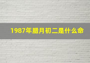 1987年腊月初二是什么命