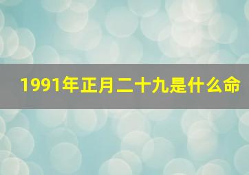 1991年正月二十九是什么命