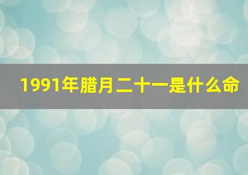 1991年腊月二十一是什么命