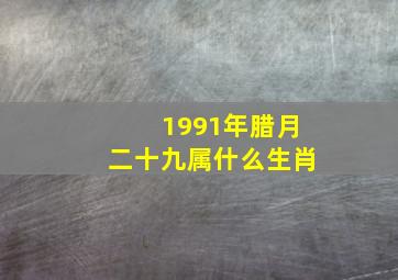 1991年腊月二十九属什么生肖