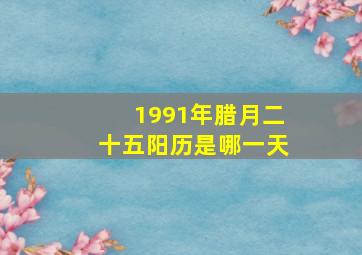 1991年腊月二十五阳历是哪一天