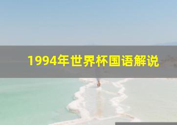 1994年世界杯国语解说