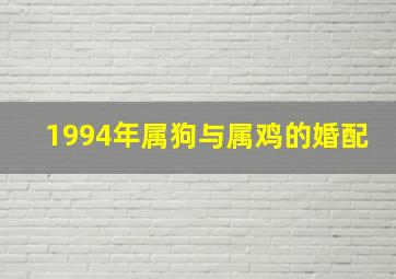 1994年属狗与属鸡的婚配