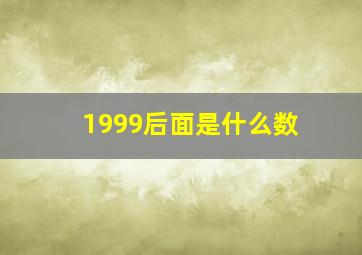 1999后面是什么数