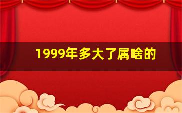 1999年多大了属啥的