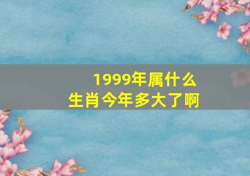 1999年属什么生肖今年多大了啊