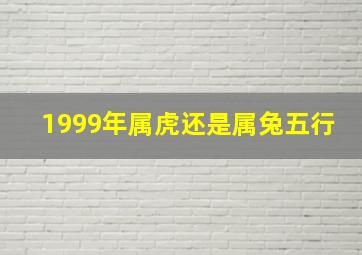 1999年属虎还是属兔五行