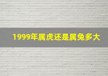 1999年属虎还是属兔多大